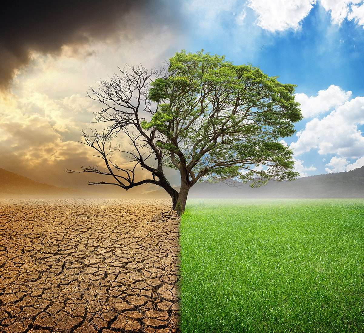 Analysis of the Climate Change Amendment Bill 2023