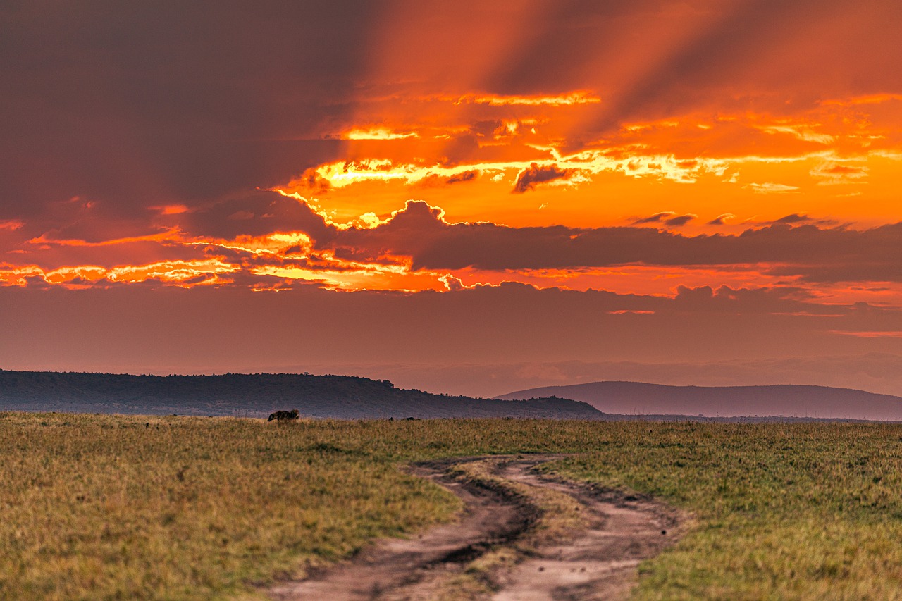 Mountains, Sunset, Wilderness